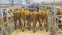 2 First Prize pen of four Sucklers from A and M Fitzsimon with judge Sophie Watt
